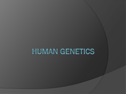 Human Genetics - Cloudfront.net
