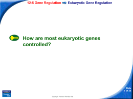 12-5 Gene Regulation