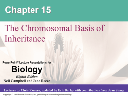 Chapter. 15(Chromosomal Basis of Inheritance)