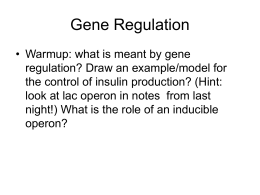 Lecture on Gene Regulation power point