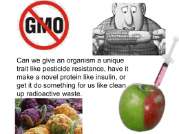 GMOs & Clones