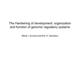 Organization of Cis-regulatory Systems