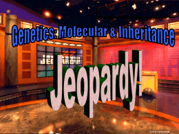 Middle East Jeopardy