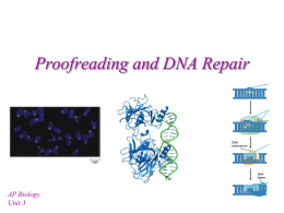 Proofreading and DNA Repair - mvhs