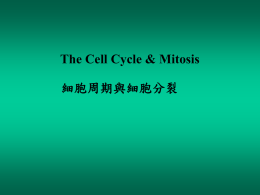 The Cell Cycle Stages of the cell cycle