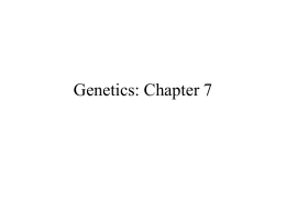 Microbial Genetics: Chapter 8