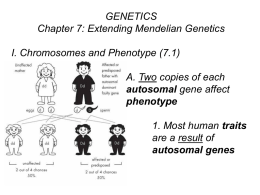 Extending Mendelian Genetics PowerPoint