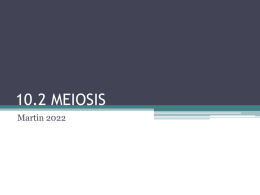10.1 MEIOSIS