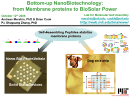 Bottom-up Nanobiotechnology
