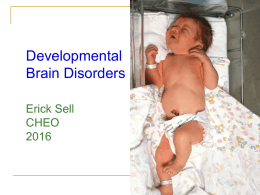 Developmental brain disorders draft 2014_(copy07)