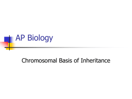 AP Bio Ch. 15 Chromosomal basis of