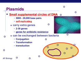 “gene we want” into plasmid