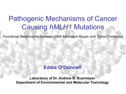 Pathogenic Mechanisms of Cancer