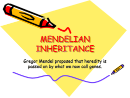 mendelian inheritance - msc-biology-2008