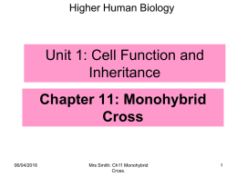 Chapter-11-Monohybrid-Cross