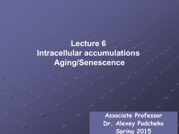 Intracellular accumulations and senescence