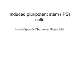 Induced pluripotent stem (iPS) cells
