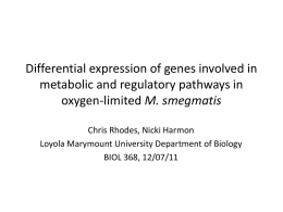 Differential expression of genes involved in