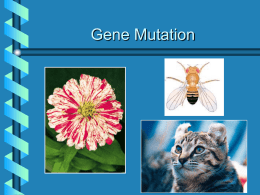Recessive mutations