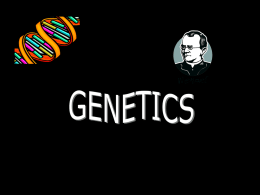 Genetic Traits Environment