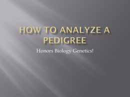 How to Analyze a Pedigree