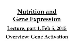1) Lecture notes: mechanisms of gene activation