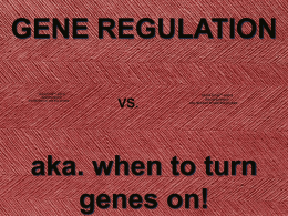 Lecture Chpt. 18 Gene Regulation in Prokaryotic Organisms