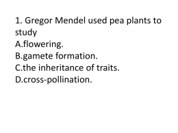 Gregor Mendel used pea plants to study A.flowering. B.gamete