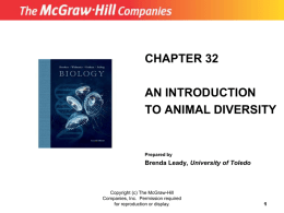 chapter 32 an introduction to animal diversity