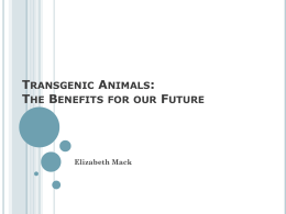 Transgenic Animals: The Benefits for our Future