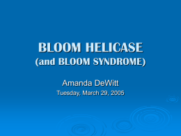 BLOOM HELICASE (and BLOOM SYNDROME)