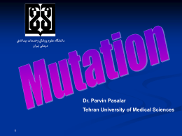 2-Mutation