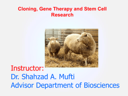Cloning, Gene Therapy and Stem Cell Research