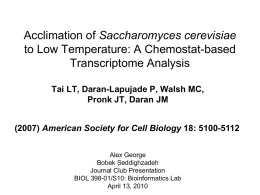 A Chemostat-based Transcriptome Analysis