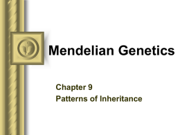 Chapter 9 Genetics