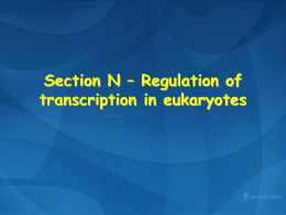 N1 Eukaryotic transcription factors