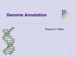 Genome Annotation