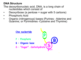 DNA struct. and isol