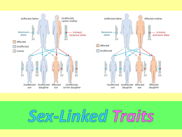 Sex Linked Traits PPT