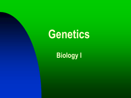 Genetics Powerpoint for Bio. I