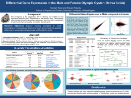 Differential Gene Expression in the Male and Female