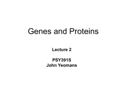 Lecture 2 PSY391S John Yeomans