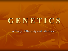 Early Concepts in Genetics