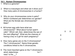 Answers to 14.1 Genetics questions