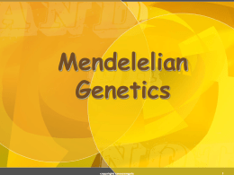Spring 2012 Mendelian Genetics