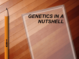 Genetics - My Teacher Pages