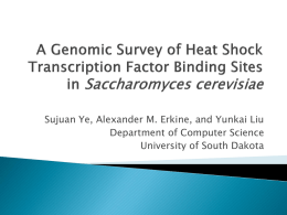 A Genomic Survey of Heat Shock Transcription Factor Binding Sites