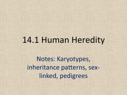 14.1 Human Heredity - OG