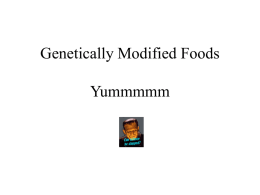 Genetically Modified Foods Yummmmm