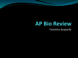 AP Bio Review - Genetics Jeopardy